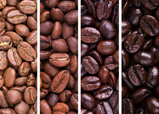 Understanding the Differences Between Blonde Roast, Medium Roast, Espresso Roast, and Dark Roast Coffees